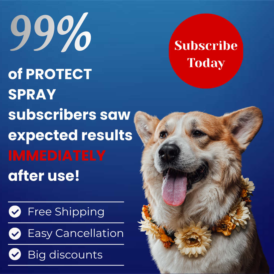 Myco Protect Spray