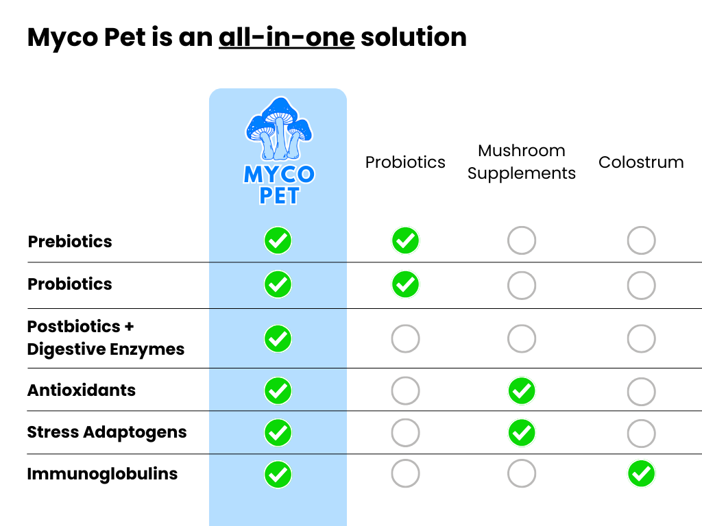 Myco Gut And Immunity