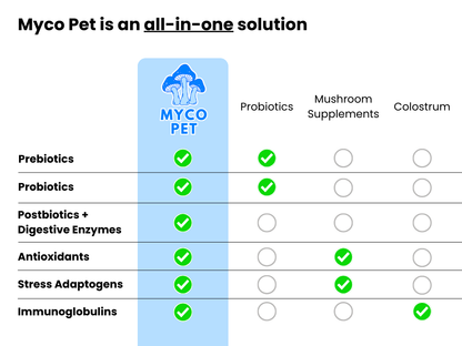 Myco Gut And Immunity