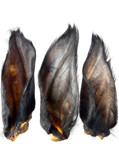 Hairy Waterbuffalo Ear