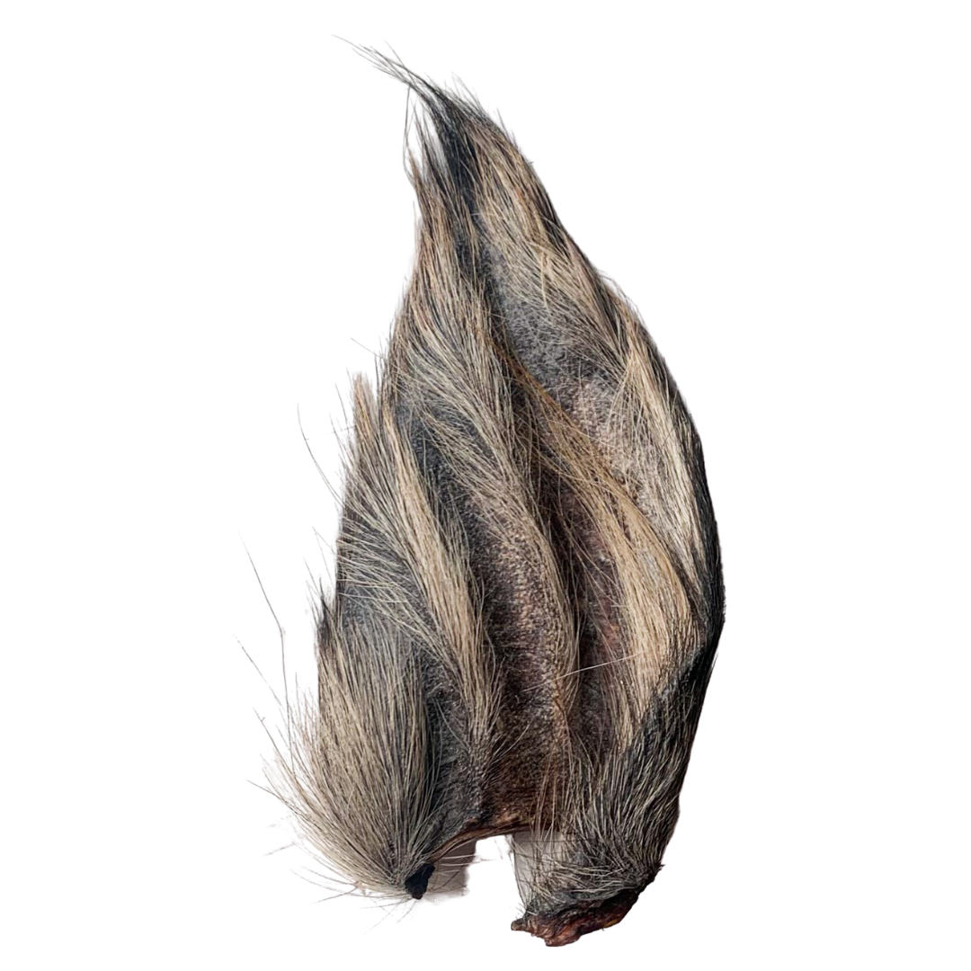 Hairy Waterbuffalo Ear