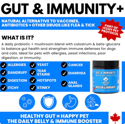 Myco Gut And Immunity