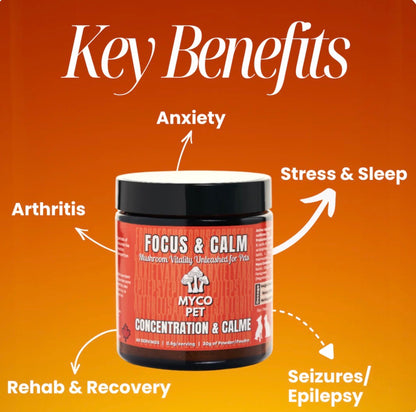 Myco Focus And Calm