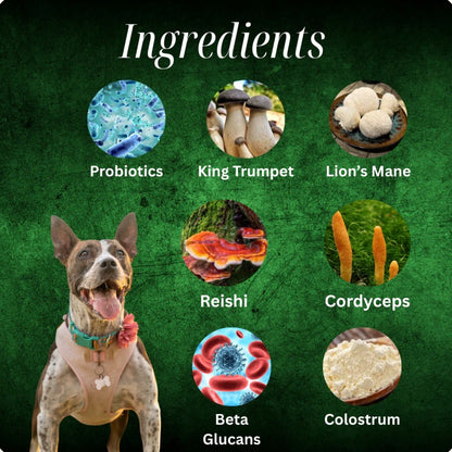 Myco Joint And Mobility