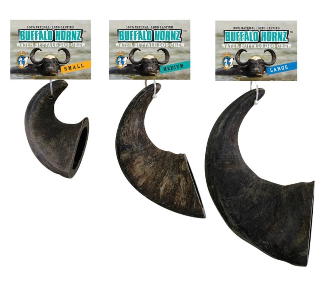 Waterbuffalo Horn