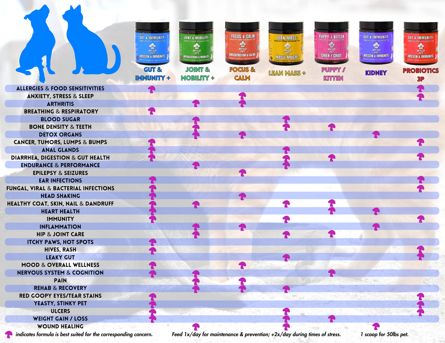 Myco Joint And Mobility